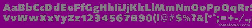 フォントSaxonyserialHeavyRegular – 紫の背景に灰色の文字