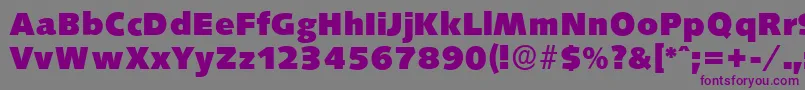 SaxonyserialHeavyRegular-fontti – violetit fontit harmaalla taustalla