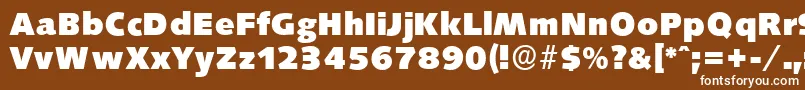 フォントSaxonyserialHeavyRegular – 茶色の背景に白い文字