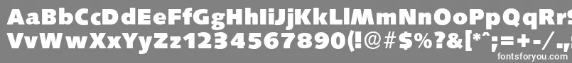 SaxonyserialHeavyRegular Font – White Fonts on Gray Background