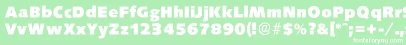 SaxonyserialHeavyRegular Font – White Fonts on Green Background