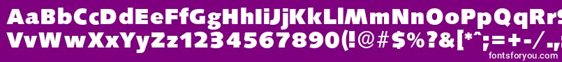 SaxonyserialHeavyRegular-Schriftart – Weiße Schriften auf violettem Hintergrund