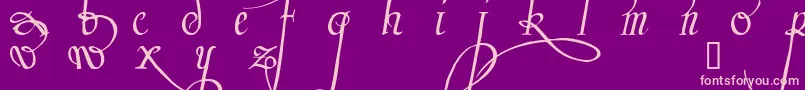 Trinculo Font – Pink Fonts on Purple Background