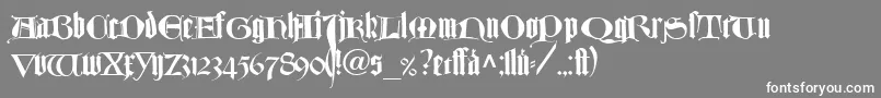 TexturlombardischLtDfr Font – White Fonts on Gray Background