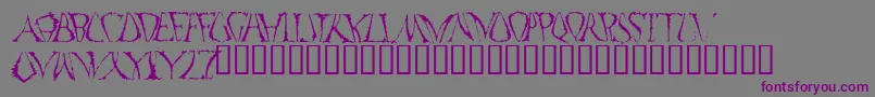 FunkoOccelatus Font – Purple Fonts on Gray Background