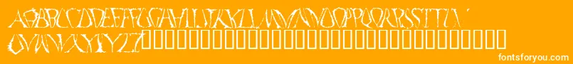 FunkoOccelatus Font – White Fonts on Orange Background