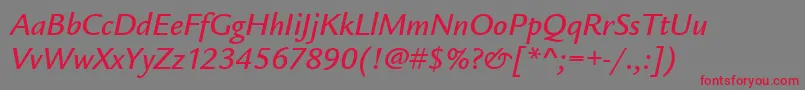 フォントLegacySansMdItcTtMediumita – 赤い文字の灰色の背景