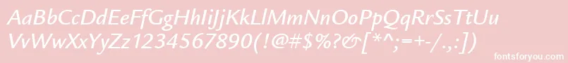 LegacySansMdItcTtMediumita Font – White Fonts on Pink Background