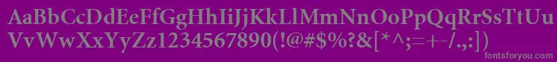 MiniatureBold Font – Gray Fonts on Purple Background