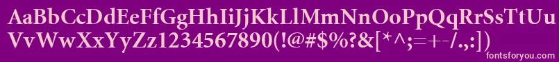 MiniatureBold Font – Pink Fonts on Purple Background