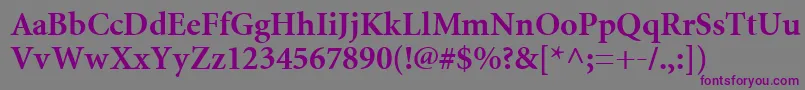 MiniatureBold Font – Purple Fonts on Gray Background