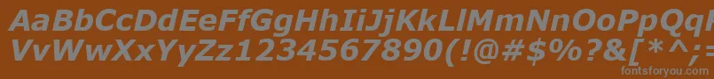 MsReferenceSansSerifРџРѕР»СѓР¶РёСЂРЅС‹Р№РљСѓСЂСЃРёРІ Font – Gray Fonts on Brown Background