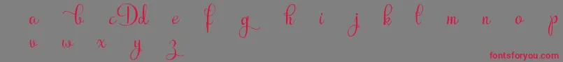 フォントRubyntDemo – 赤い文字の灰色の背景