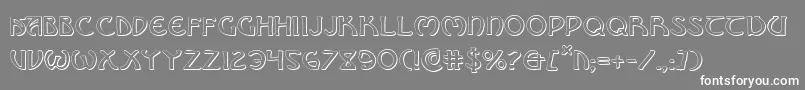 BrinAthynShadow Font – White Fonts on Gray Background