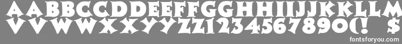 ZaleskiBold-fontti – valkoiset fontit harmaalla taustalla
