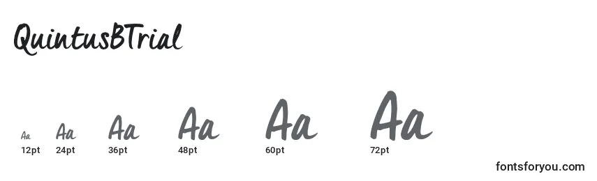 QuintusBTrial Font Sizes