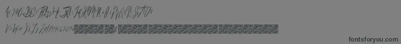 Reasonablespeculation Font – Black Fonts on Gray Background