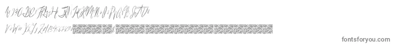 Reasonablespeculation Font – Gray Fonts on White Background