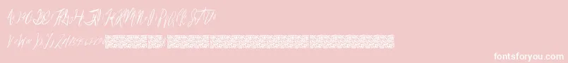 Reasonablespeculation Font – White Fonts on Pink Background