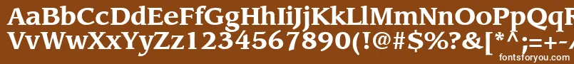 フォントAdvisorSsiBold – 茶色の背景に白い文字