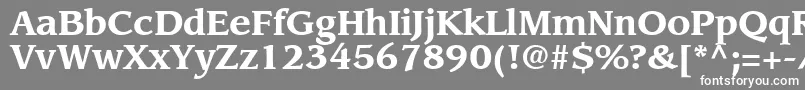 AdvisorSsiBold Font – White Fonts on Gray Background