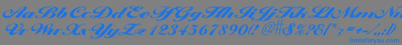 LarisimaextraboldRegular Font – Blue Fonts on Gray Background