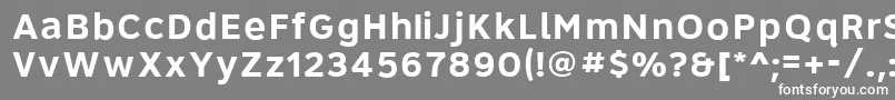 フォントRoadgeek2005Series6b – 灰色の背景に白い文字