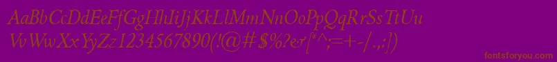 GriffoclassicoItalic Font – Brown Fonts on Purple Background