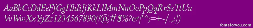 GriffoclassicoItalic Font – Green Fonts on Purple Background