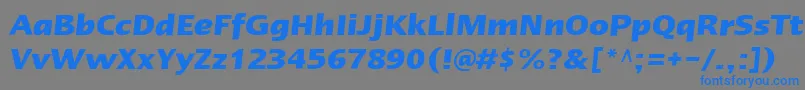 LinotypeErgoBoldItalic Font – Blue Fonts on Gray Background