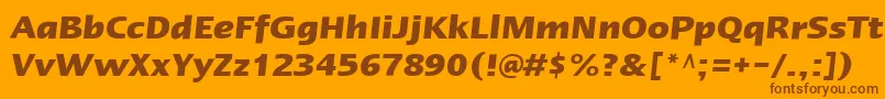 LinotypeErgoBoldItalic Font – Brown Fonts on Orange Background