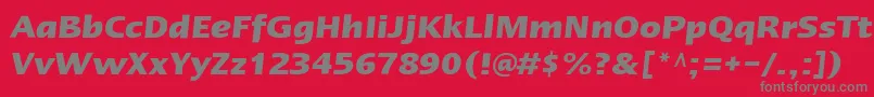 LinotypeErgoBoldItalic Font – Gray Fonts on Red Background