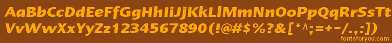 LinotypeErgoBoldItalic Font – Orange Fonts on Brown Background