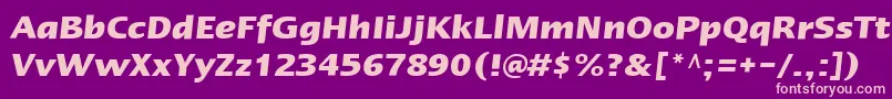 LinotypeErgoBoldItalic Font – Pink Fonts on Purple Background