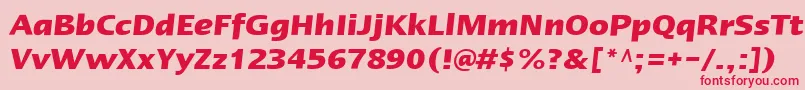 LinotypeErgoBoldItalic Font – Red Fonts on Pink Background