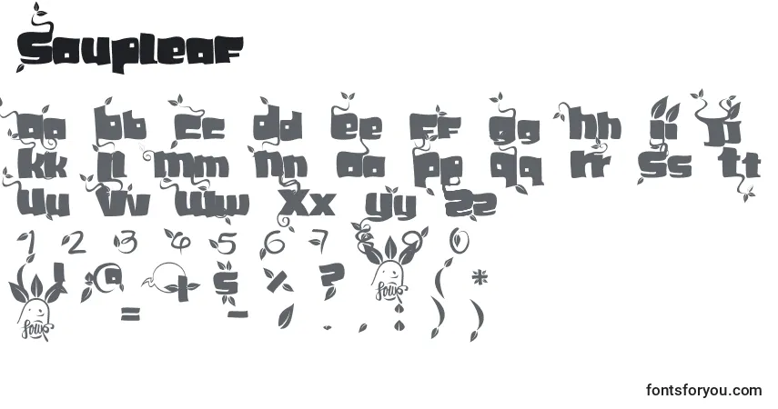 Czcionka Soupleaf – alfabet, cyfry, specjalne znaki