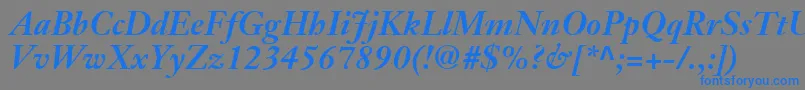 JansonTextLt76BoldItalic Font – Blue Fonts on Gray Background