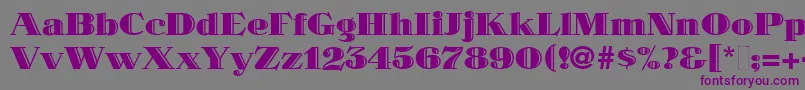 MaklerDeco Font – Purple Fonts on Gray Background