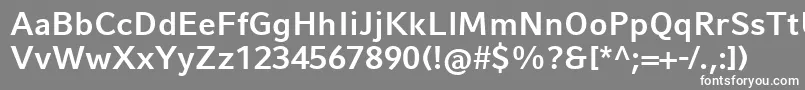 CompatilFactLtComBold Font – White Fonts on Gray Background