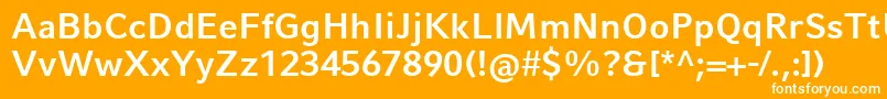 CompatilFactLtComBold Font – White Fonts on Orange Background