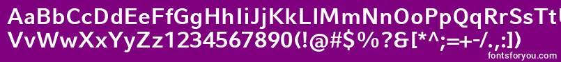 CompatilFactLtComBold Font – White Fonts on Purple Background