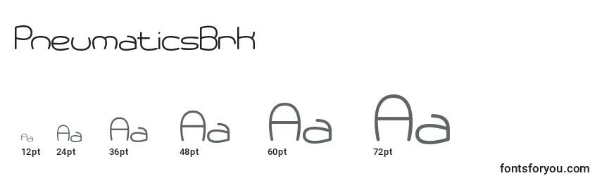 PneumaticsBrk Font Sizes