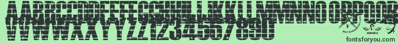 Alambrado Font – Black Fonts on Green Background