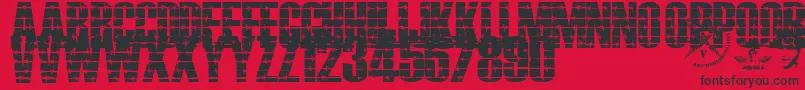Alambrado Font – Black Fonts on Red Background