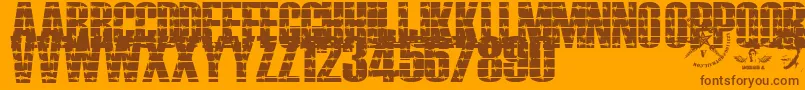Alambrado Font – Brown Fonts on Orange Background