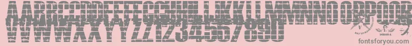 Alambrado Font – Gray Fonts on Pink Background