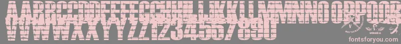 Alambrado Font – Pink Fonts on Gray Background