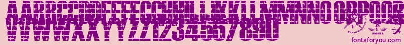 Alambrado Font – Purple Fonts on Pink Background