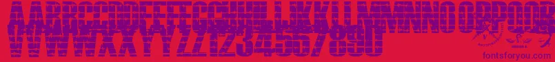 Alambrado Font – Purple Fonts on Red Background
