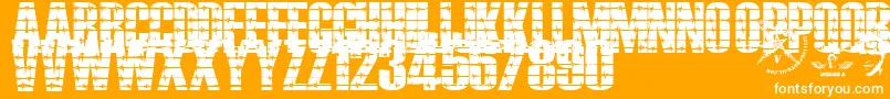 Alambrado Font – White Fonts on Orange Background